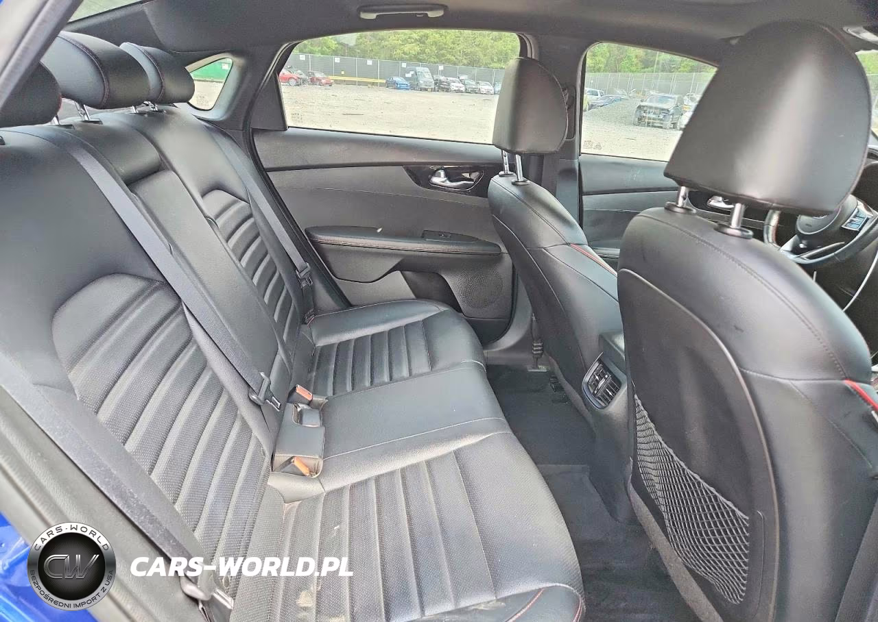 2021 Kia Forte Gt VIN:3KPF44AC3ME343445 - 10
