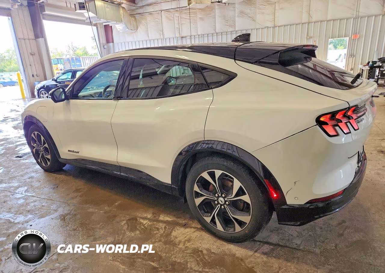 2021 Ford Mustang Mach-E Premium VIN:3FMTK3SU0MMA08994 - 2