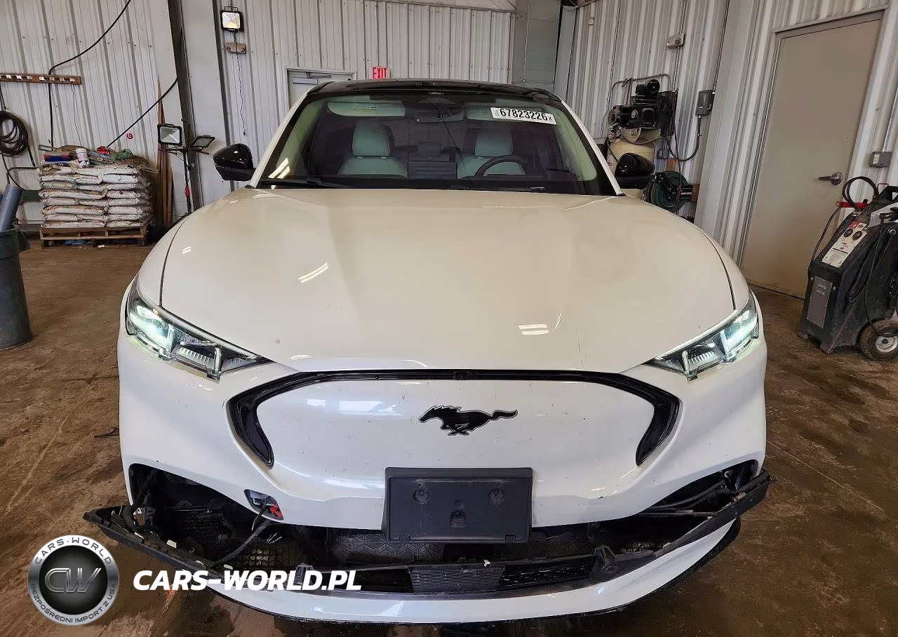 2021 Ford Mustang Mach-E Premium VIN:3FMTK3SU0MMA08994 - 5