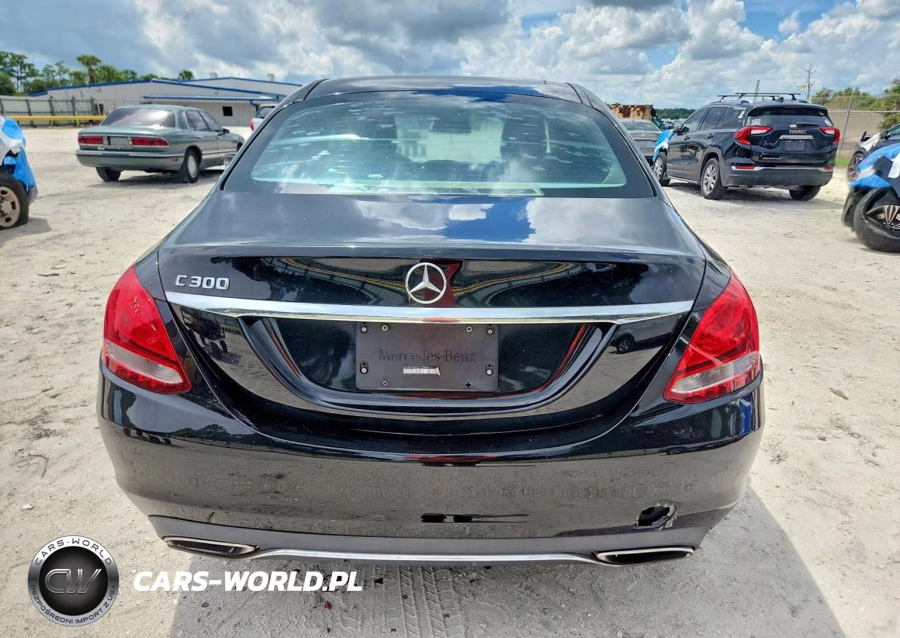 2016 Mercedes-Benz C 300 VIN:55SWF4JB2GU128489 - 6