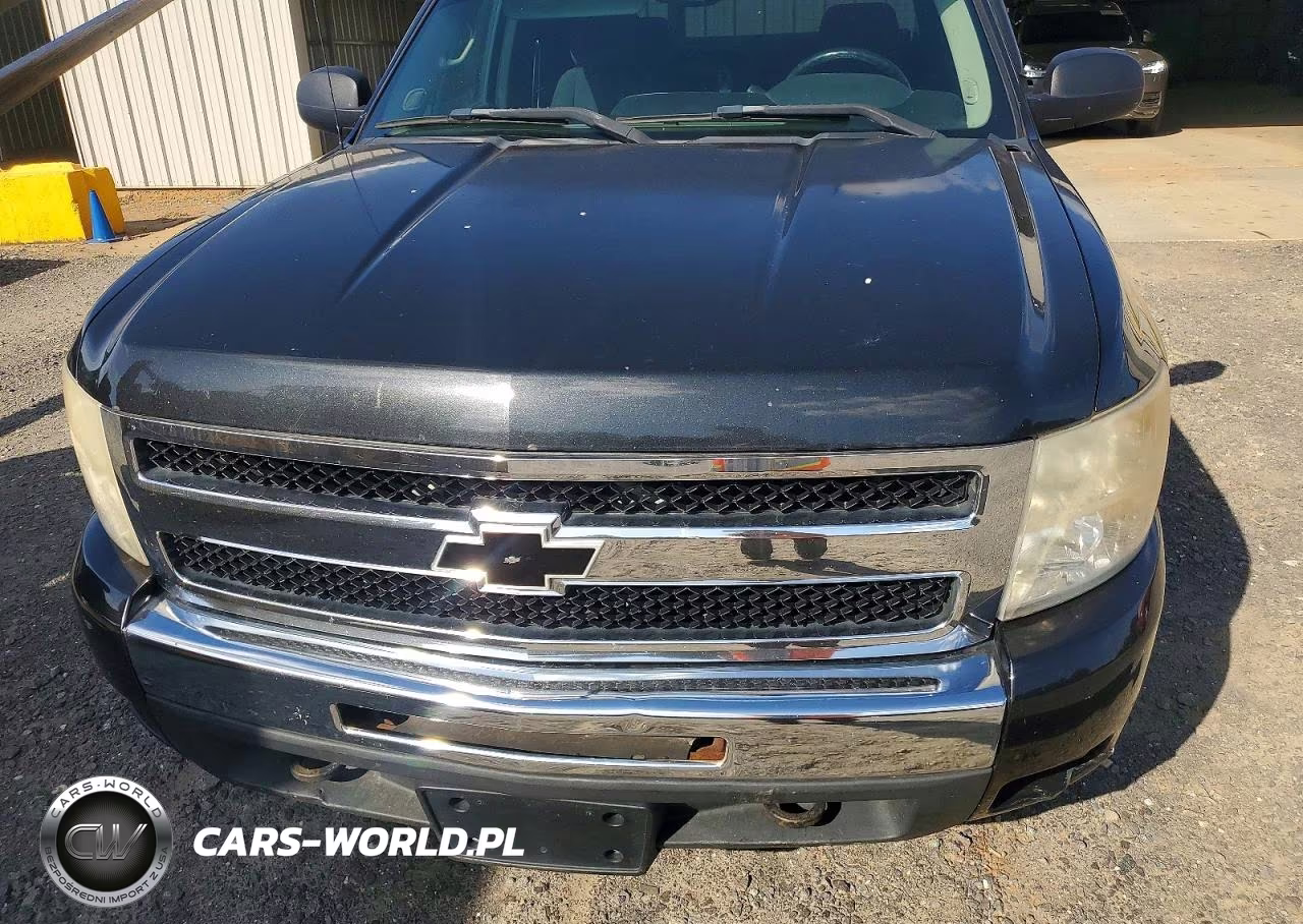 2009 Chevrolet Silverado K1500 Lt VIN:1GCEK29029Z270600 - 11