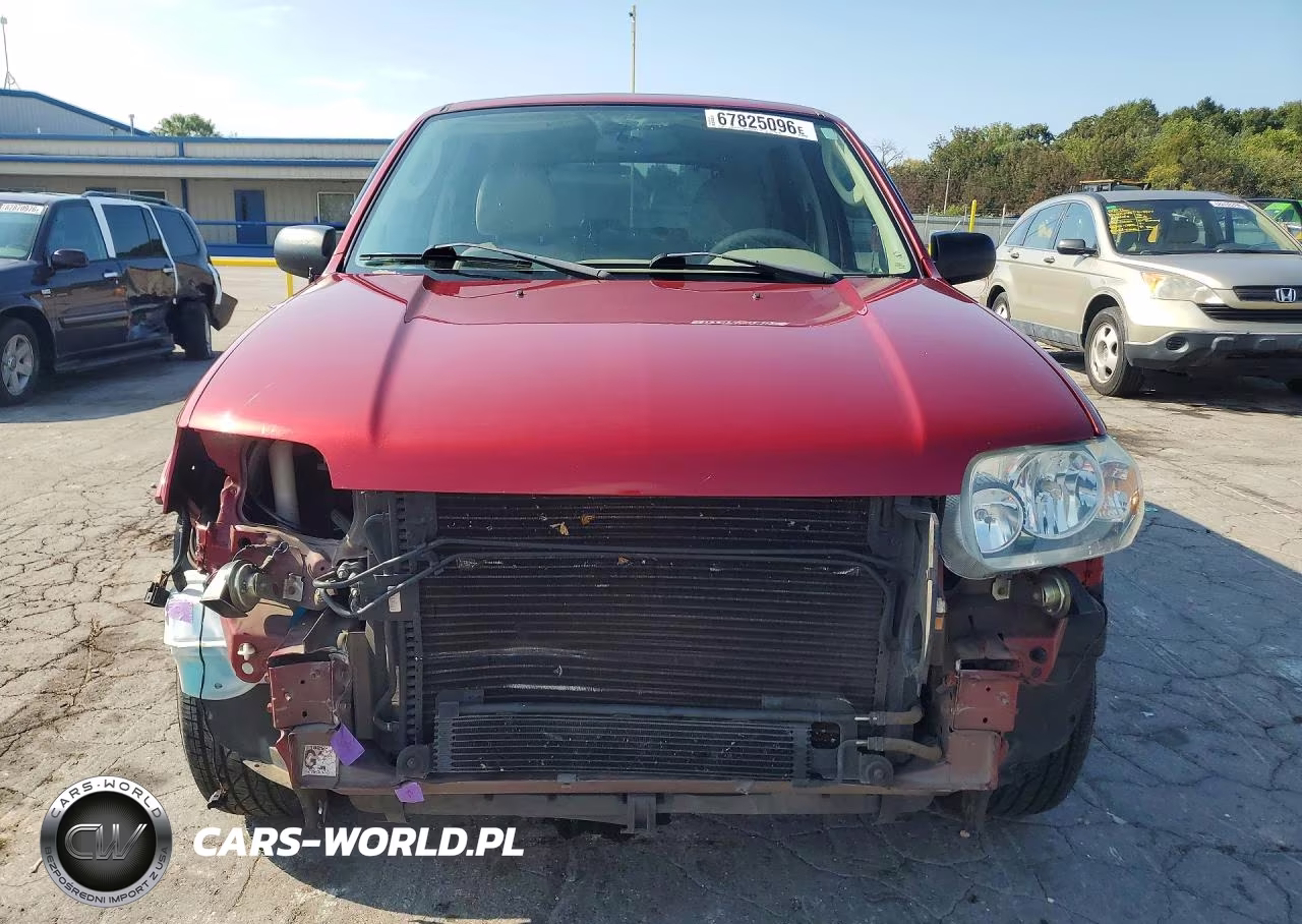 2005 Ford Escape Limited VIN:1FMCU04135KB03361 - 5