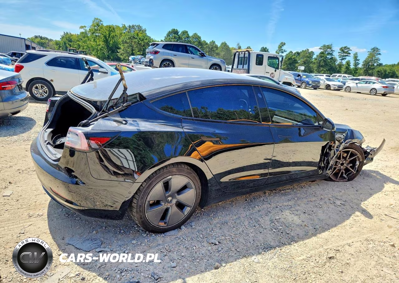 2021 Tesla Model 3 VIN:5YJ3E1EAXMF976977 - 3
