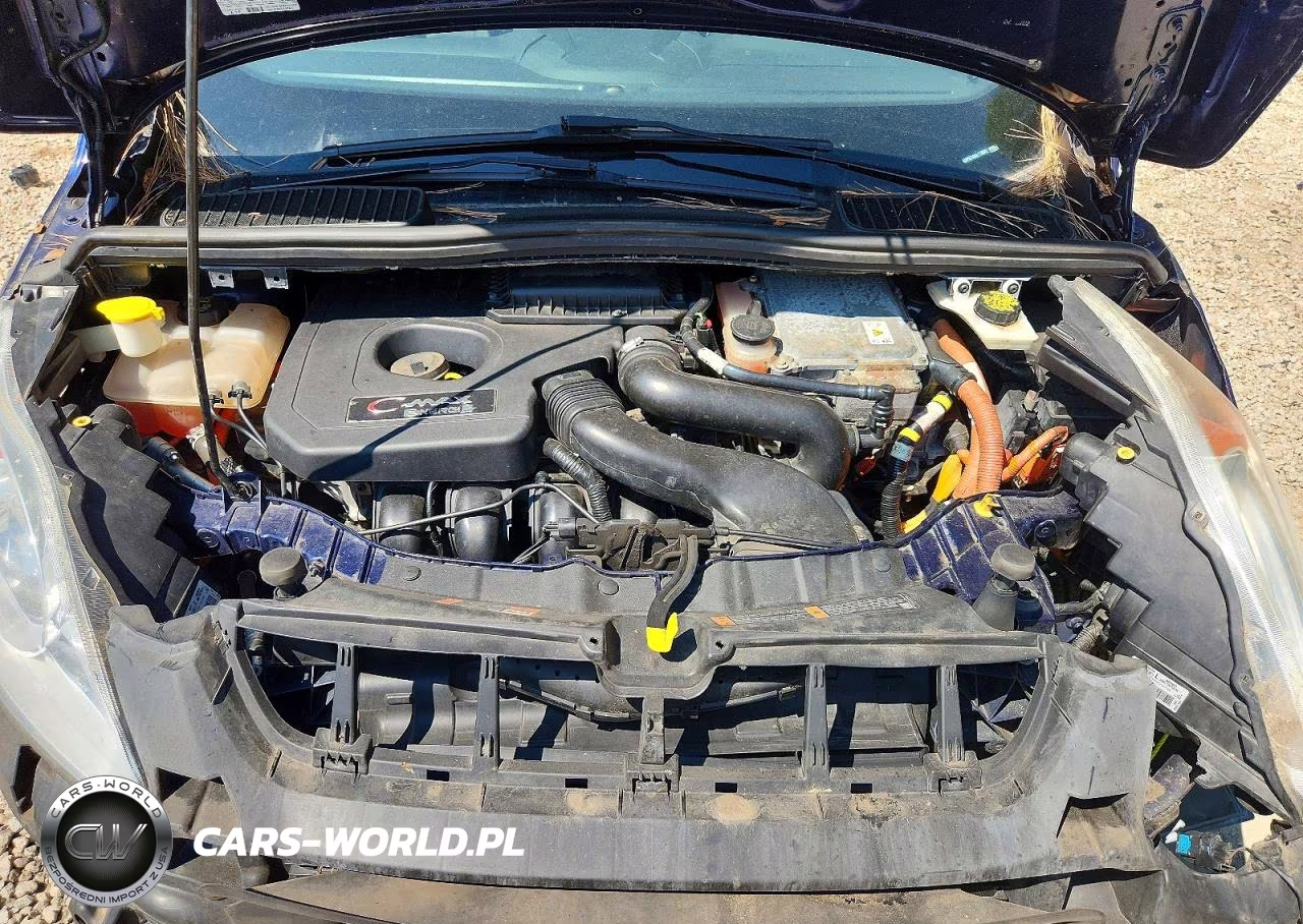 2016 Ford C-Max Premium Sel VIN:1FADP5CU9GL112092 - 12
