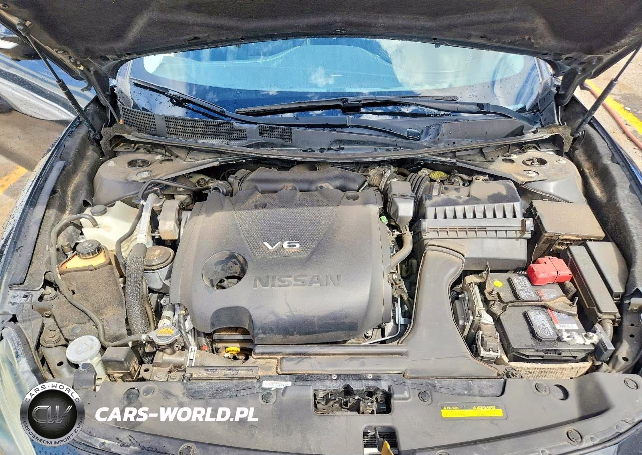 2016 Nissan Maxima Platinum VIN:1N4AA6AP0GC407847 - 11