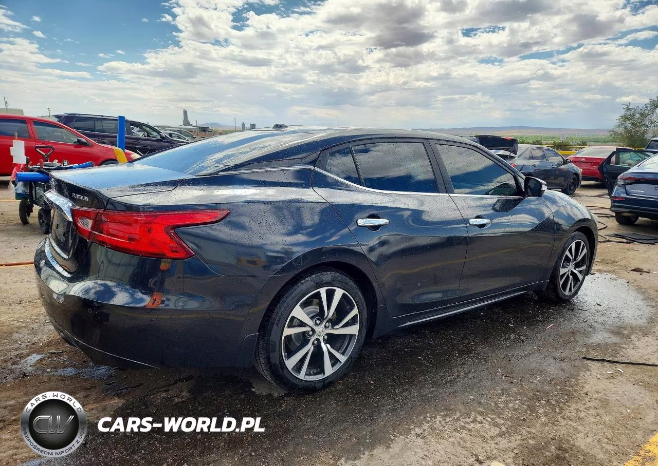 2016 Nissan Maxima Platinum VIN:1N4AA6AP0GC407847 - 3