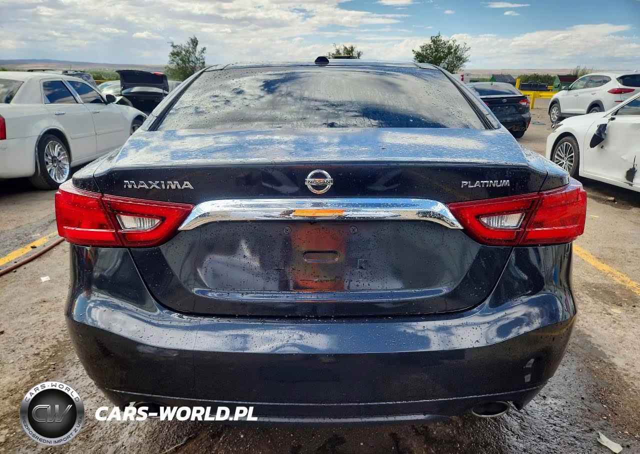 2016 Nissan Maxima Platinum VIN:1N4AA6AP0GC407847 - 6