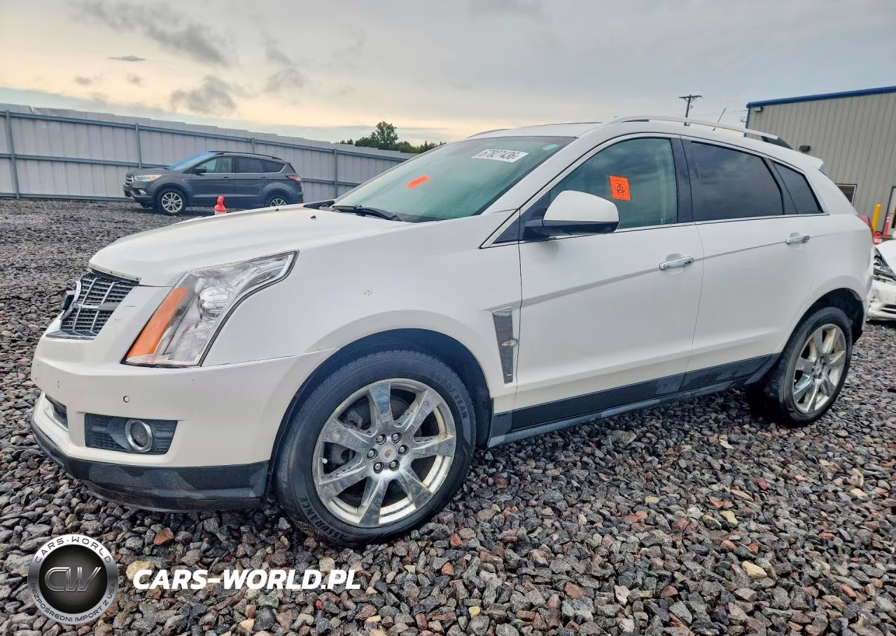 2010 Cadillac Srx Performance Collection VIN:3GYFNBEY4AS524634 - 1