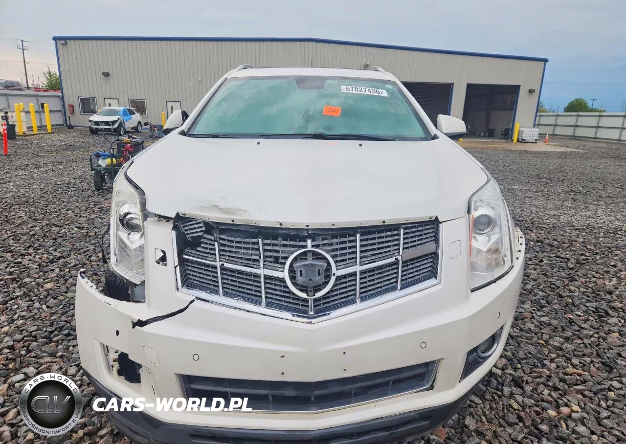 2010 Cadillac Srx Performance Collection VIN:3GYFNBEY4AS524634 - 5