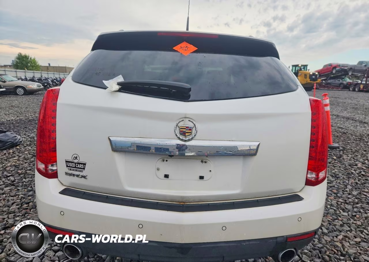 2010 Cadillac Srx Performance Collection VIN:3GYFNBEY4AS524634 - 6