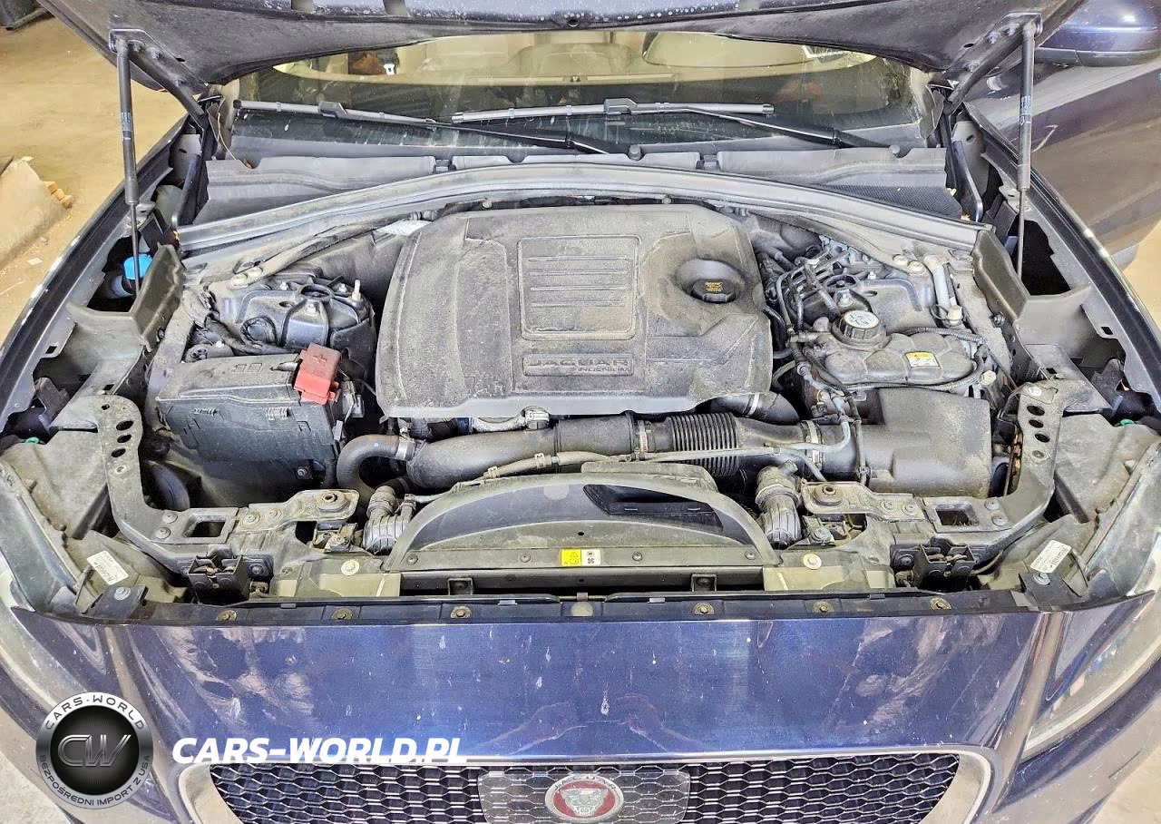 2019 Jaguar F-Pace Prestige VIN:SADCK2FX3KA392111 - 12