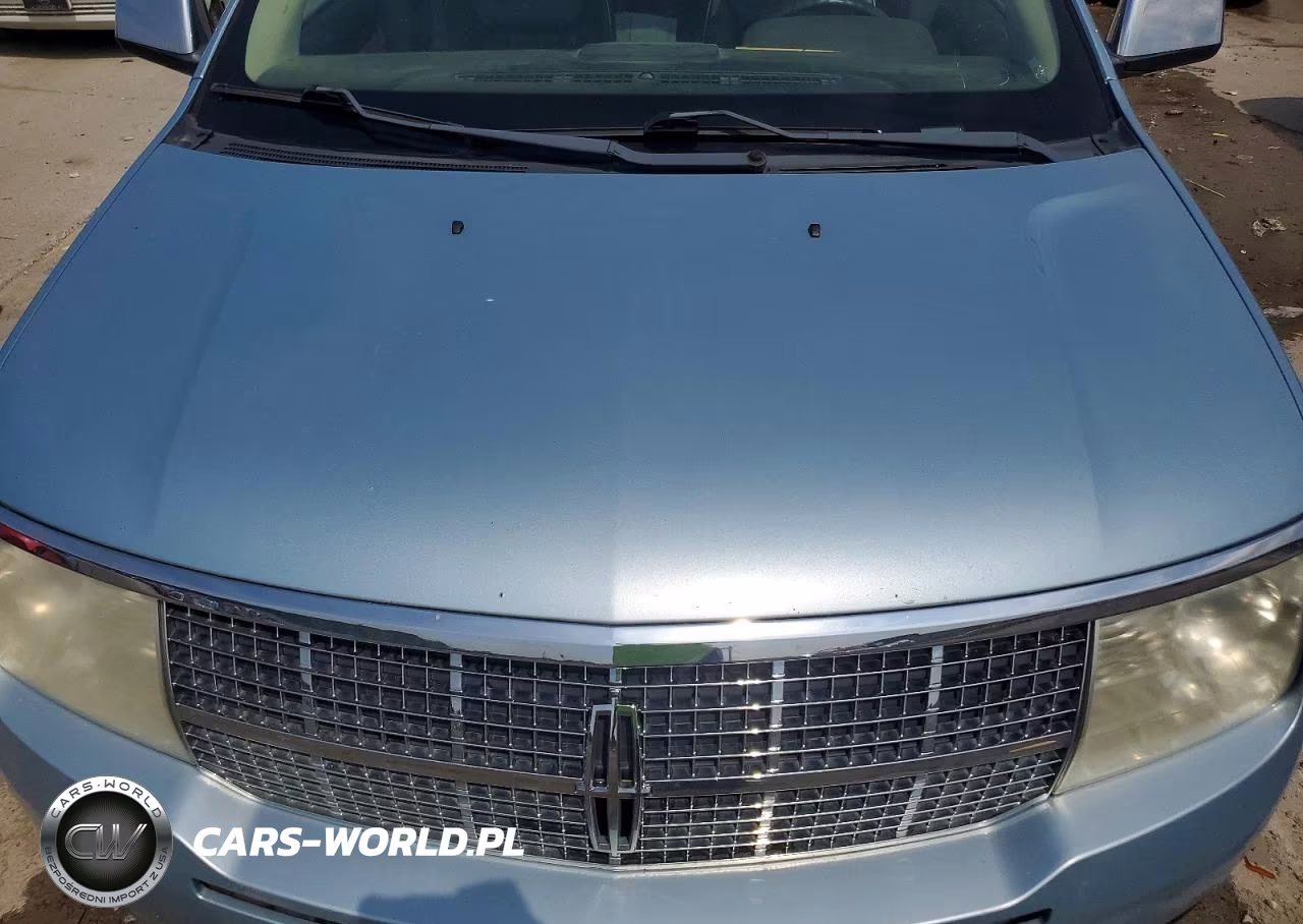 2008 Lincoln Mkx VIN:2LMDU88C68BJ31902 - 12