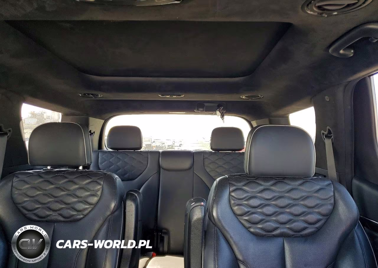 2020 Hyundai Palisade Limited VIN:KM8R5DHE1LU166438 - 10