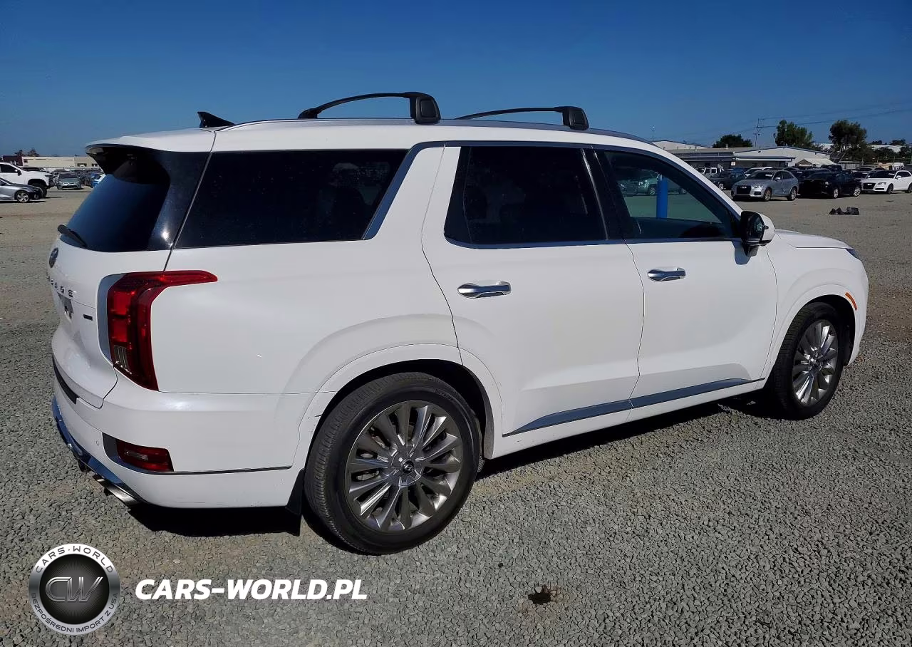 2020 Hyundai Palisade Limited VIN:KM8R5DHE1LU166438 - 3