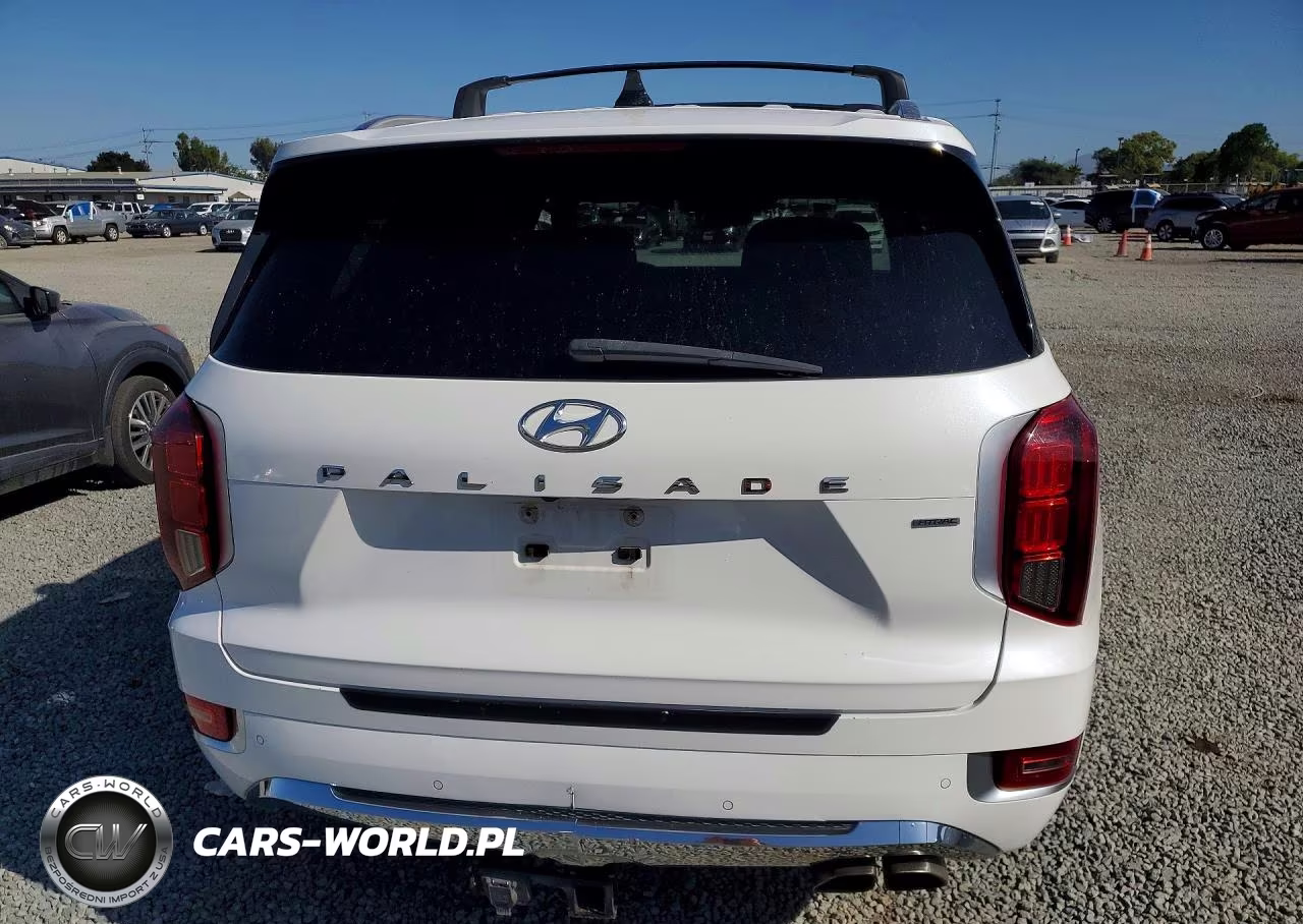2020 Hyundai Palisade Limited VIN:KM8R5DHE1LU166438 - 6