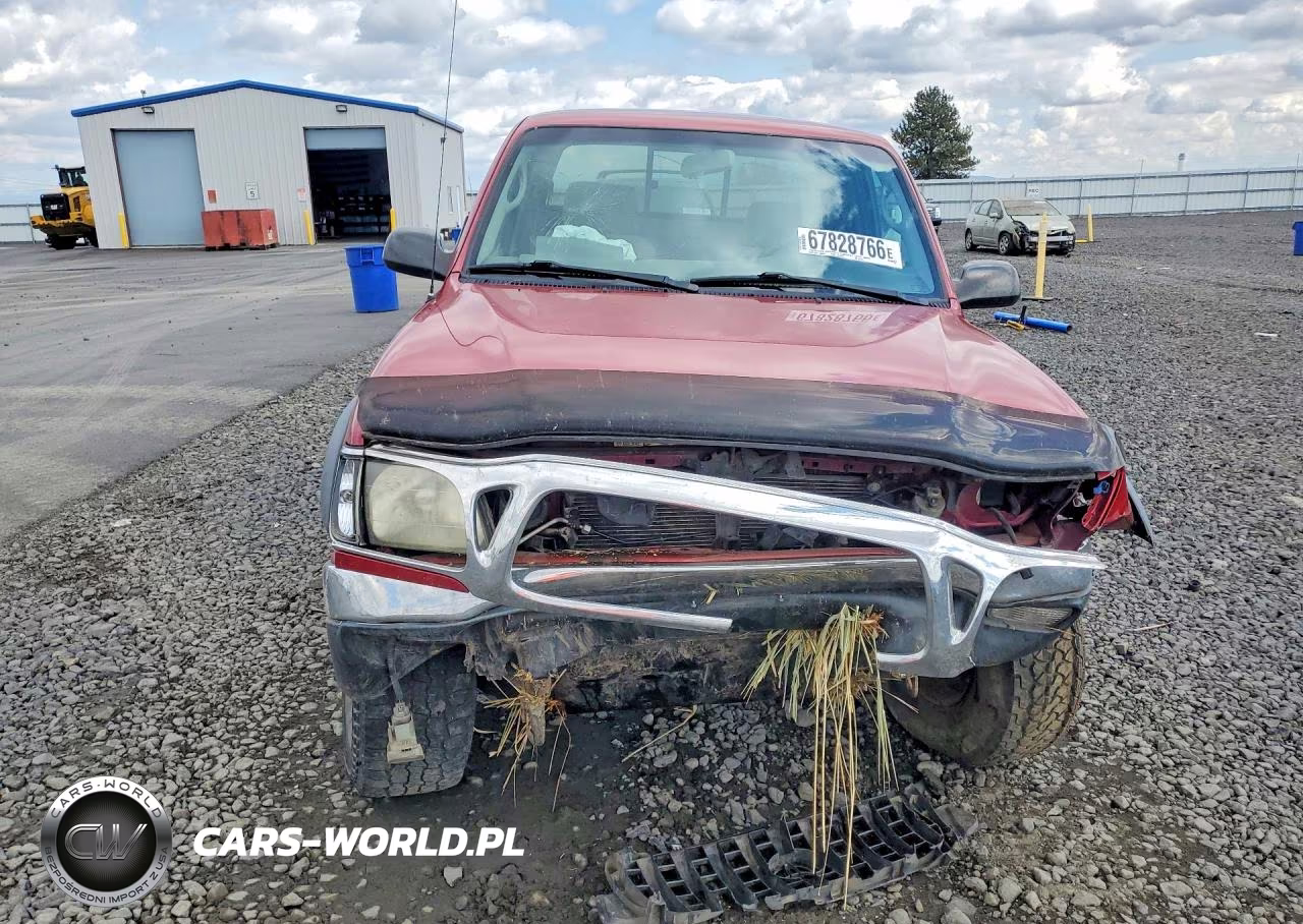 2004 Toyota Tacoma Base VIN:5TEWM72N54Z437790 - 5