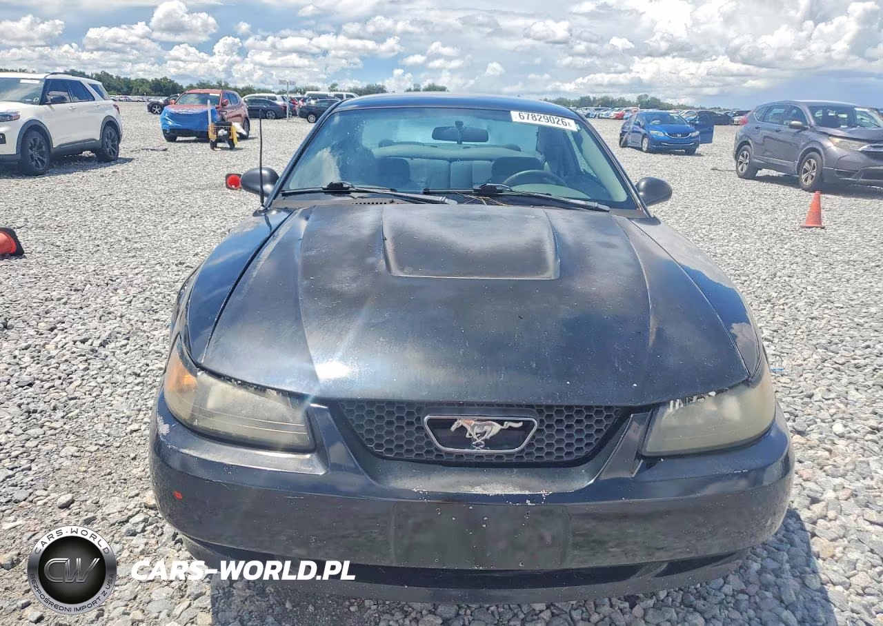 2004 Ford Mustang VIN:1FAFP40624F172377 - 5