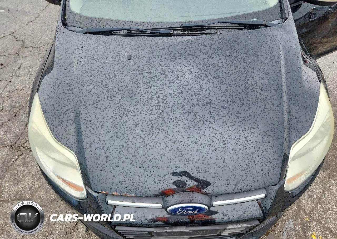 2014 Ford Focus Se VIN:1FADP3F2XEL404121 - 11