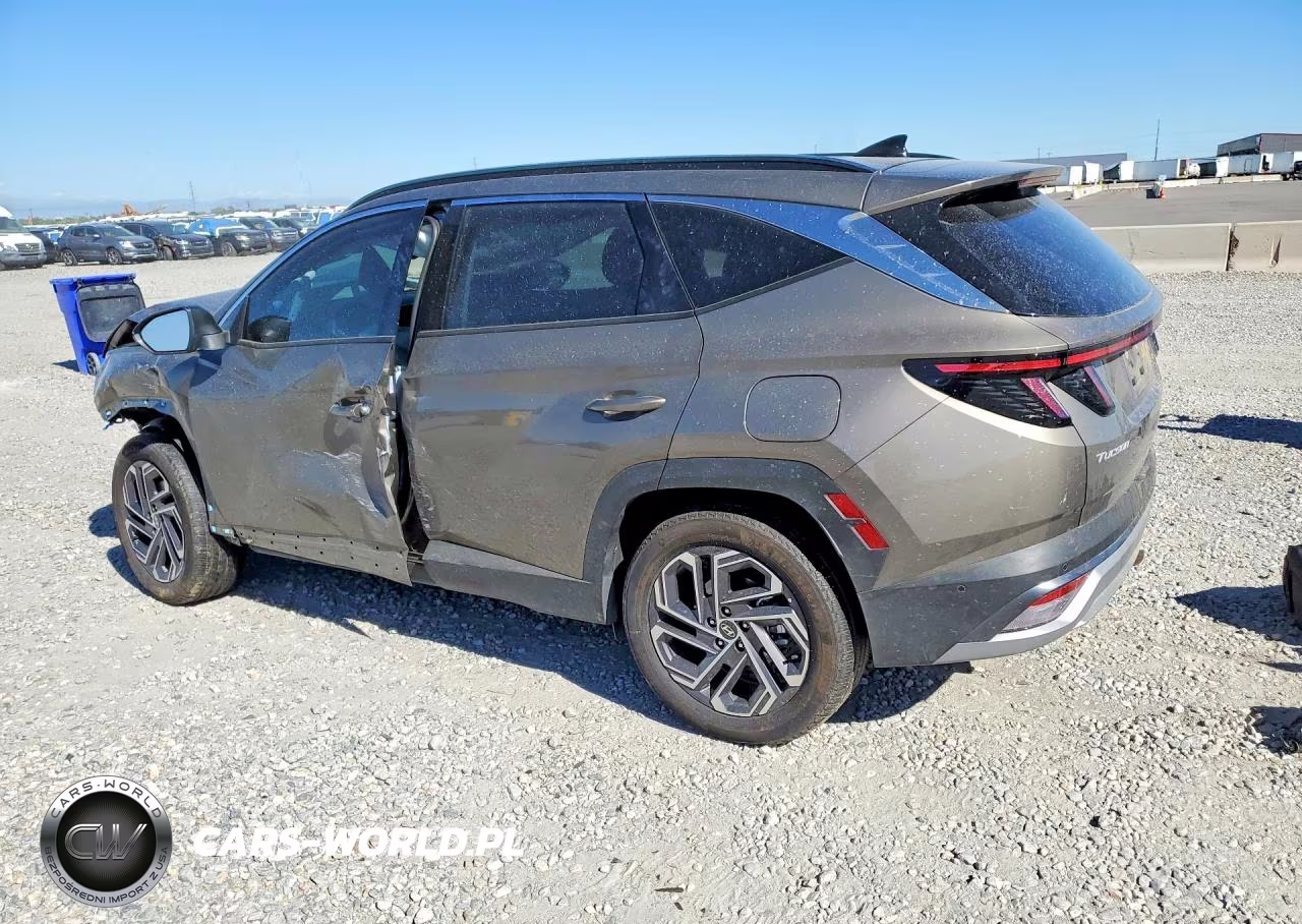 2025 Hyundai Tucson Limited VIN:KM8JFDD22SU317050 - 2