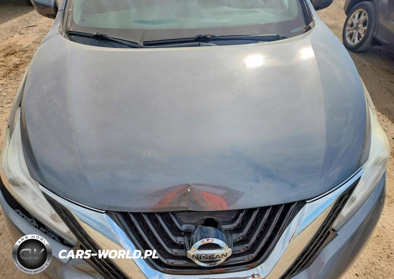 2016 Nissan Murano Sv VIN:5N1AZ2MHXGN160692 - 12