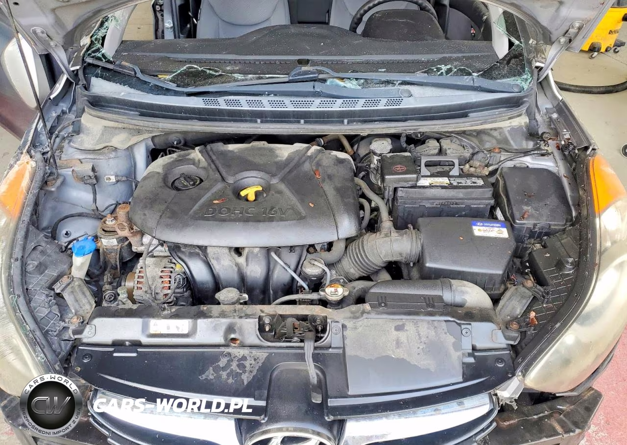 2013 Hyundai Elantra Gls VIN:KMHDH4AE6DU494015 - 11