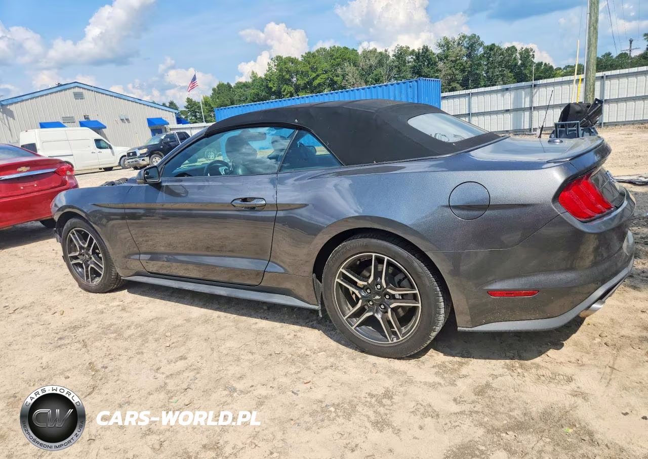 2019 Ford Mustang VIN:1FATP8UH6K5135714 - 2