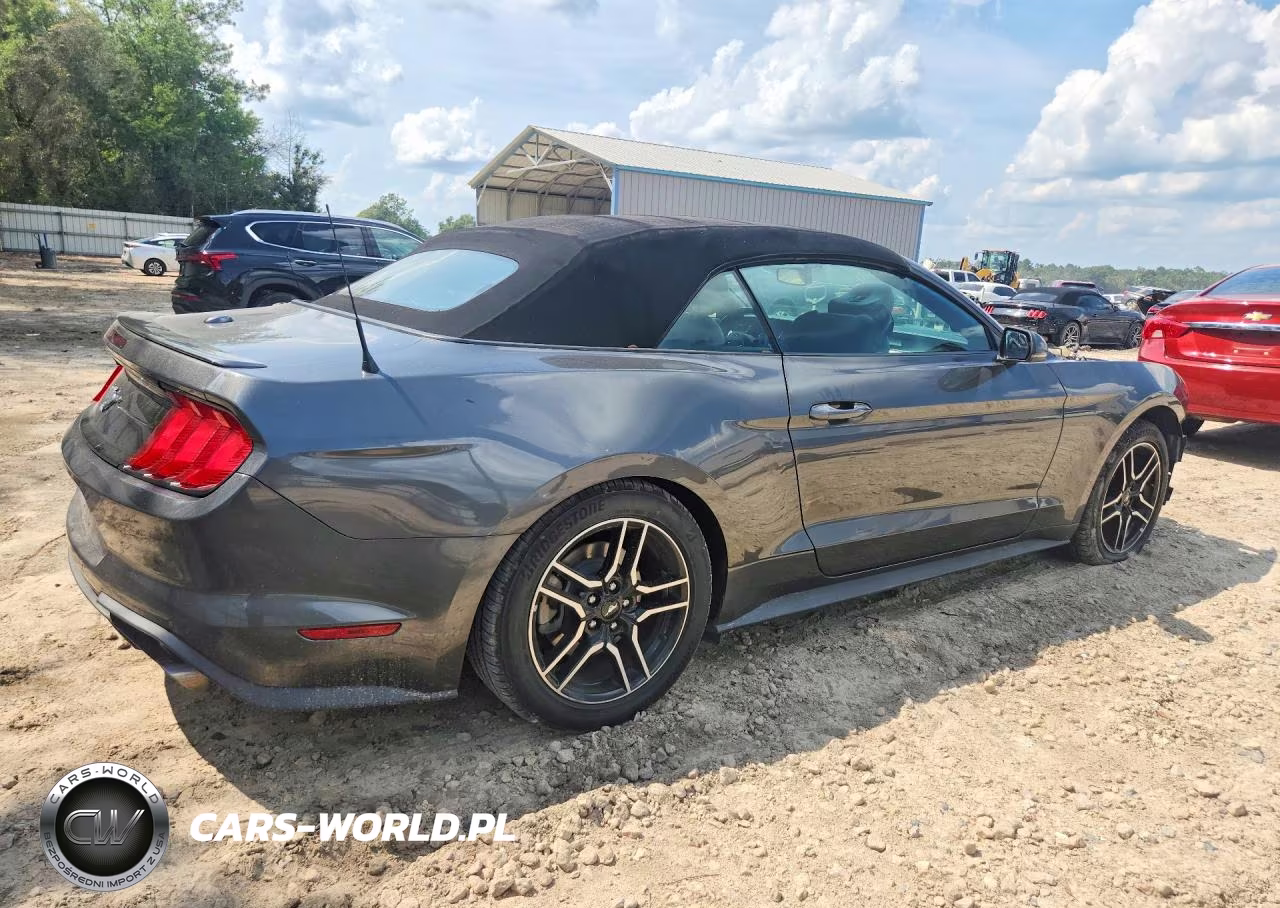 2019 Ford Mustang VIN:1FATP8UH6K5135714 - 3