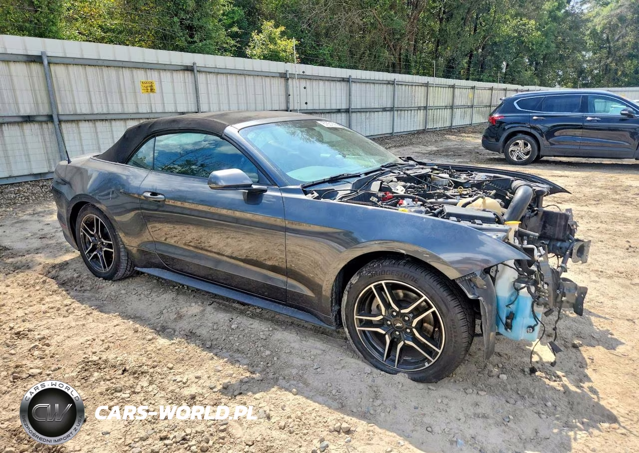 2019 Ford Mustang VIN:1FATP8UH6K5135714 - 4