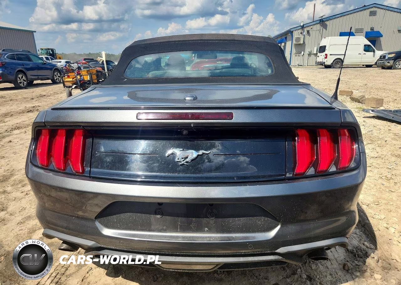 2019 Ford Mustang VIN:1FATP8UH6K5135714 - 6