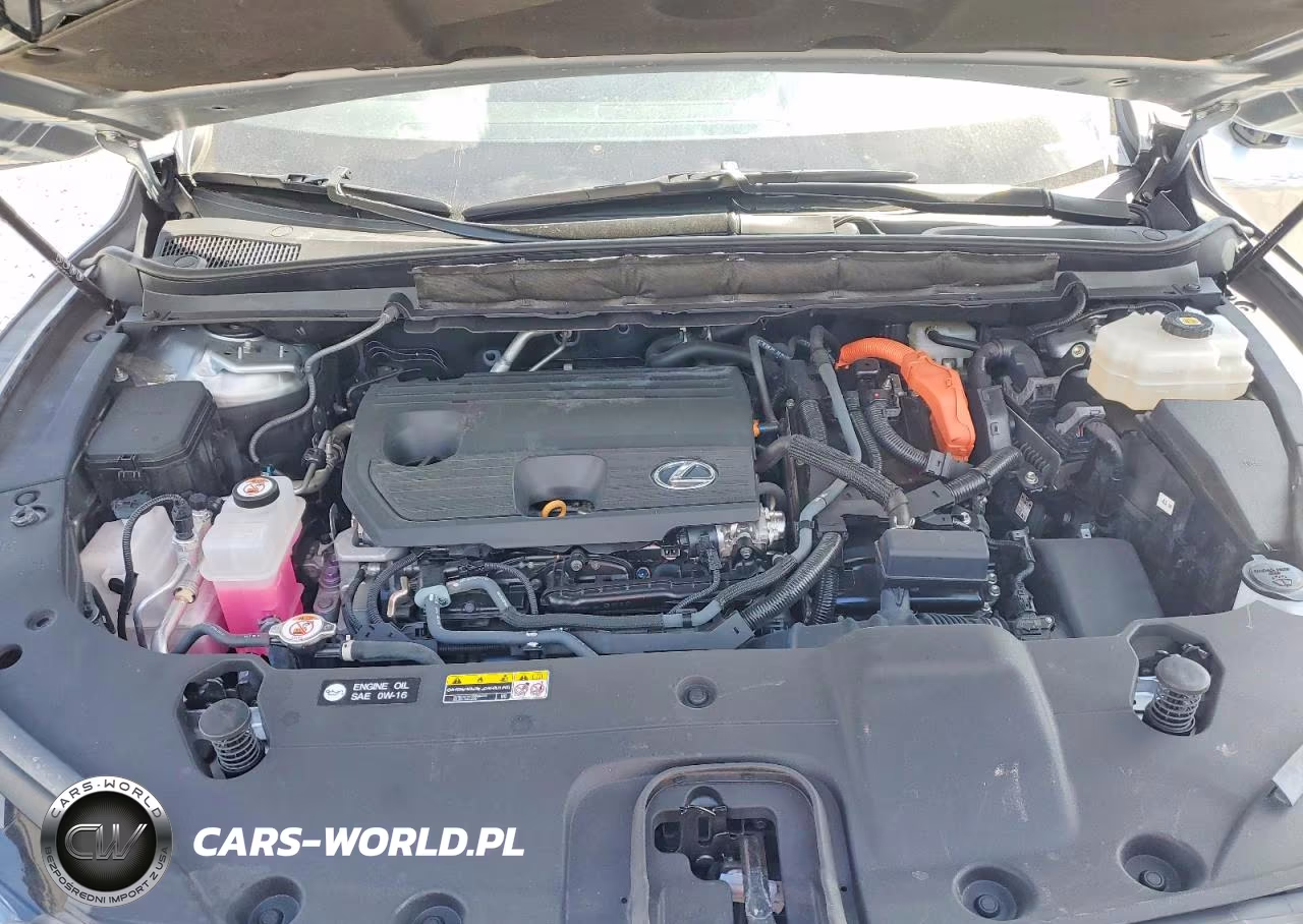 2023 Lexus Rx 350H Premium VIN:2T2BBMCA6PC020165 - 12