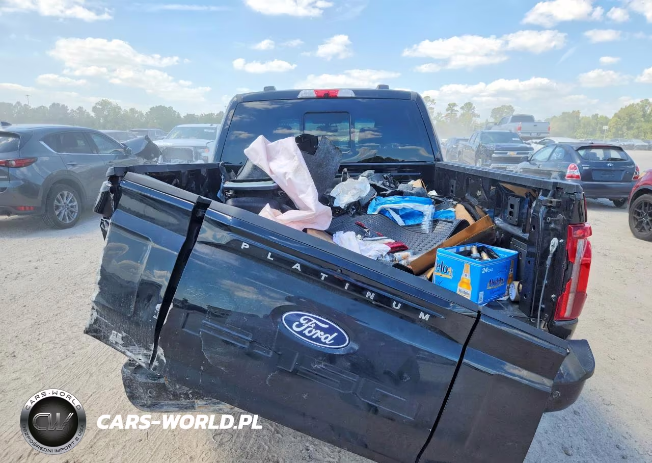2026 Ford F150 Platinum VIN:1FTFW7LD2TFA12880 - 6