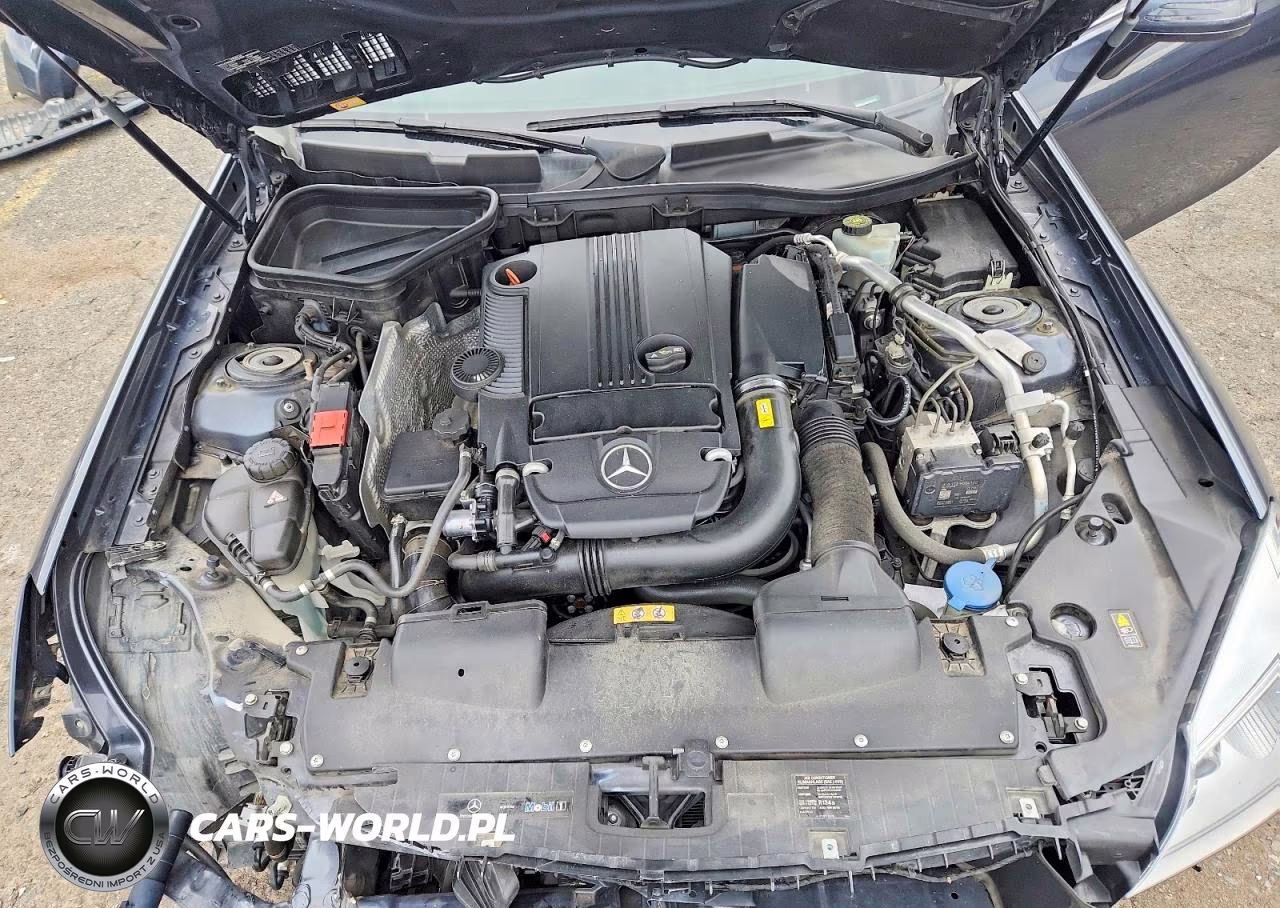 2013 Mercedes-Benz Slk 250 VIN:WDDPK4HA0DF055411 - 11