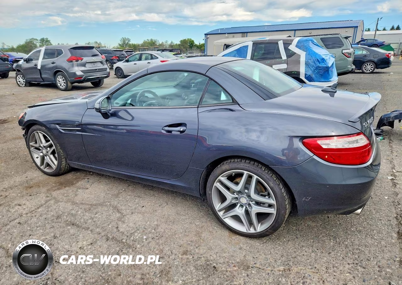 2013 Mercedes-Benz Slk 250 VIN:WDDPK4HA0DF055411 - 2