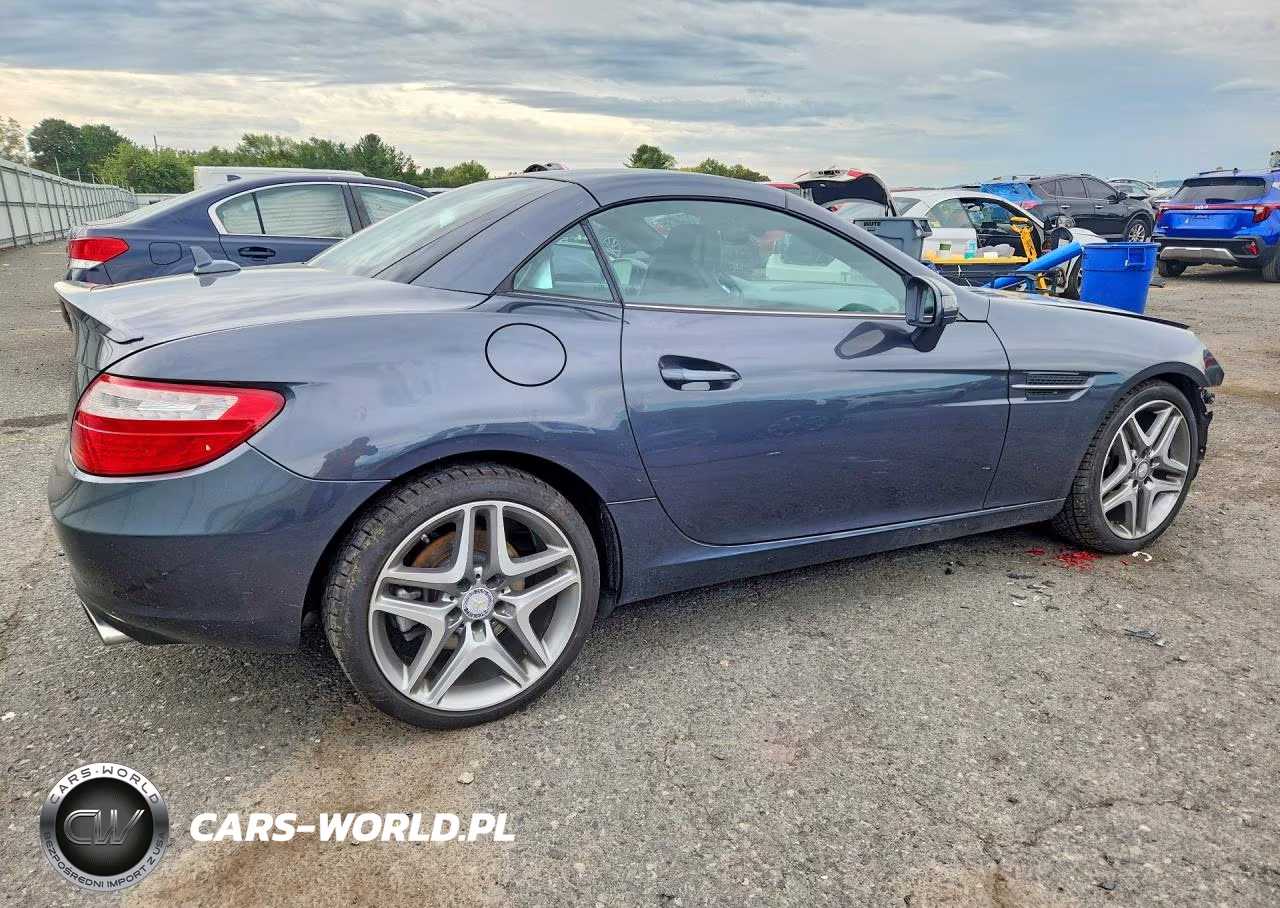2013 Mercedes-Benz Slk 250 VIN:WDDPK4HA0DF055411 - 3
