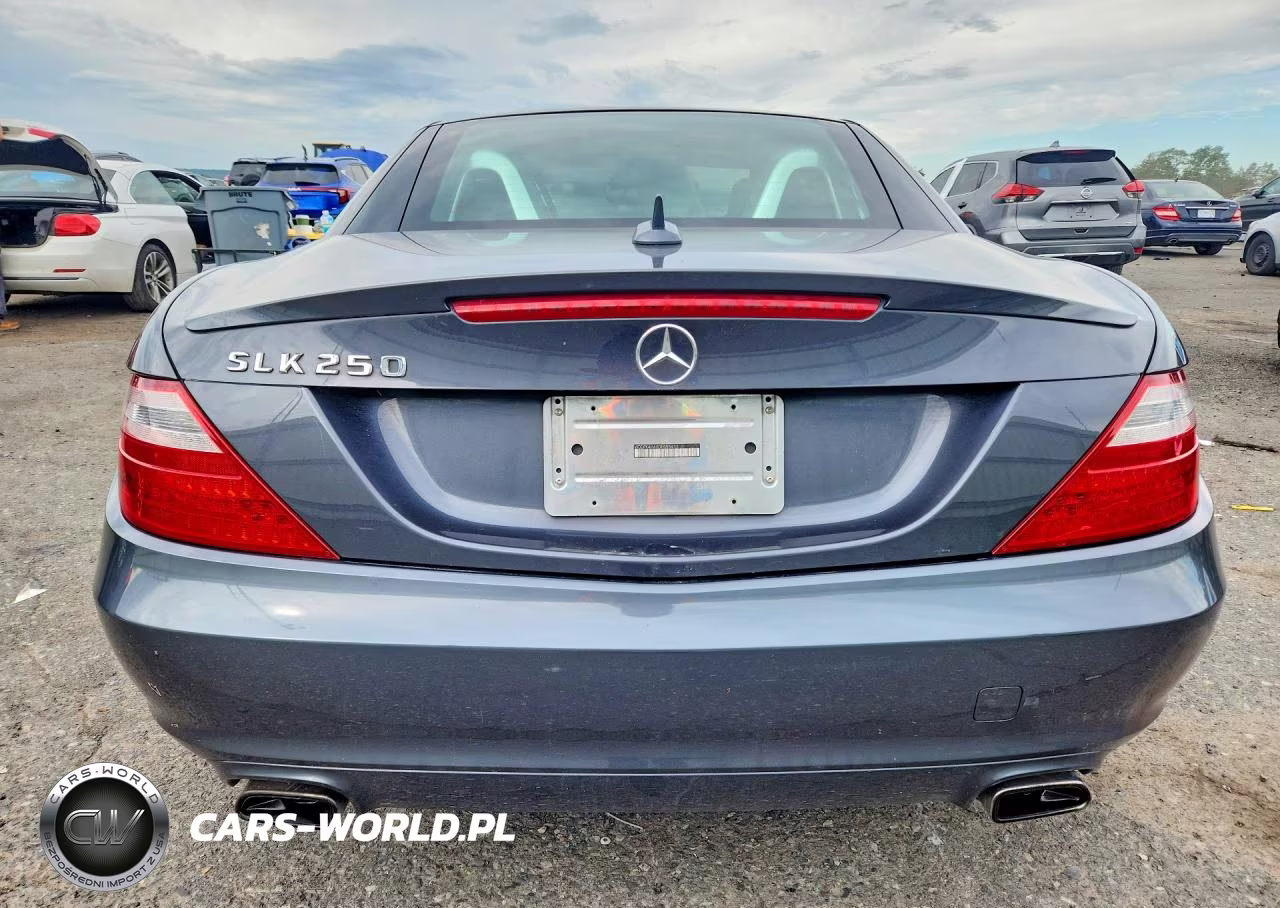 2013 Mercedes-Benz Slk 250 VIN:WDDPK4HA0DF055411 - 6
