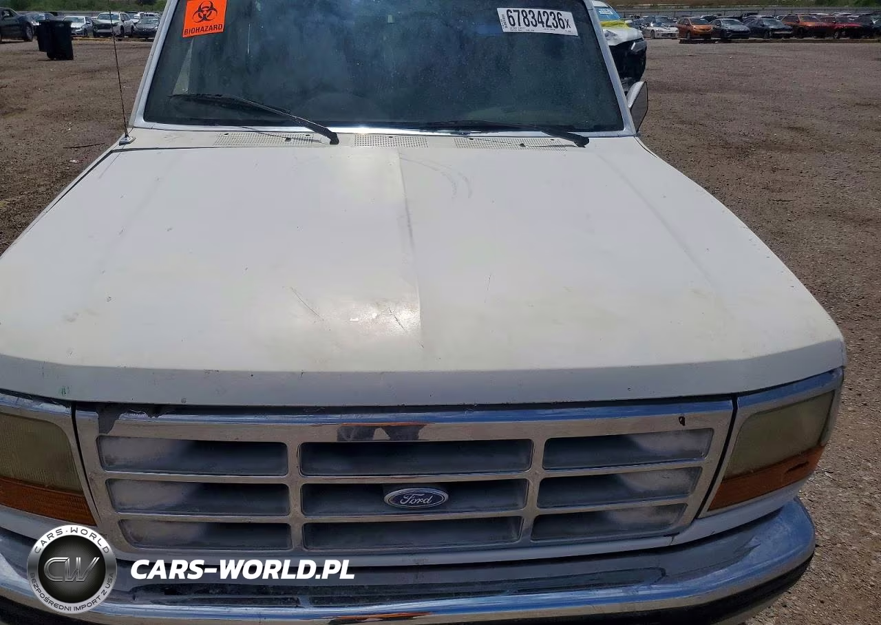 1994 Ford F150 VIN:1FTEX15H6RKB41288 - 11