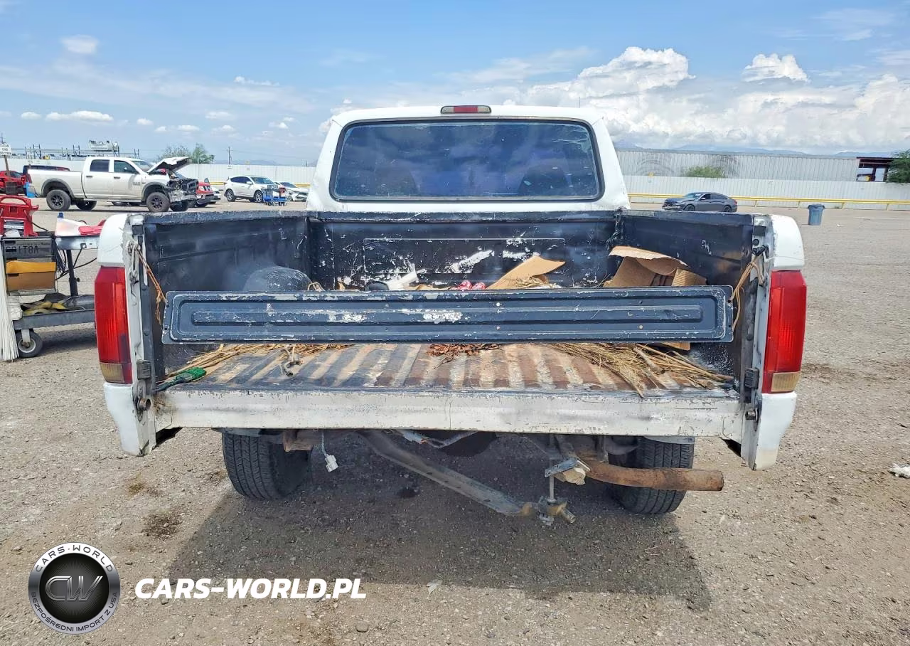 1994 Ford F150 VIN:1FTEX15H6RKB41288 - 6