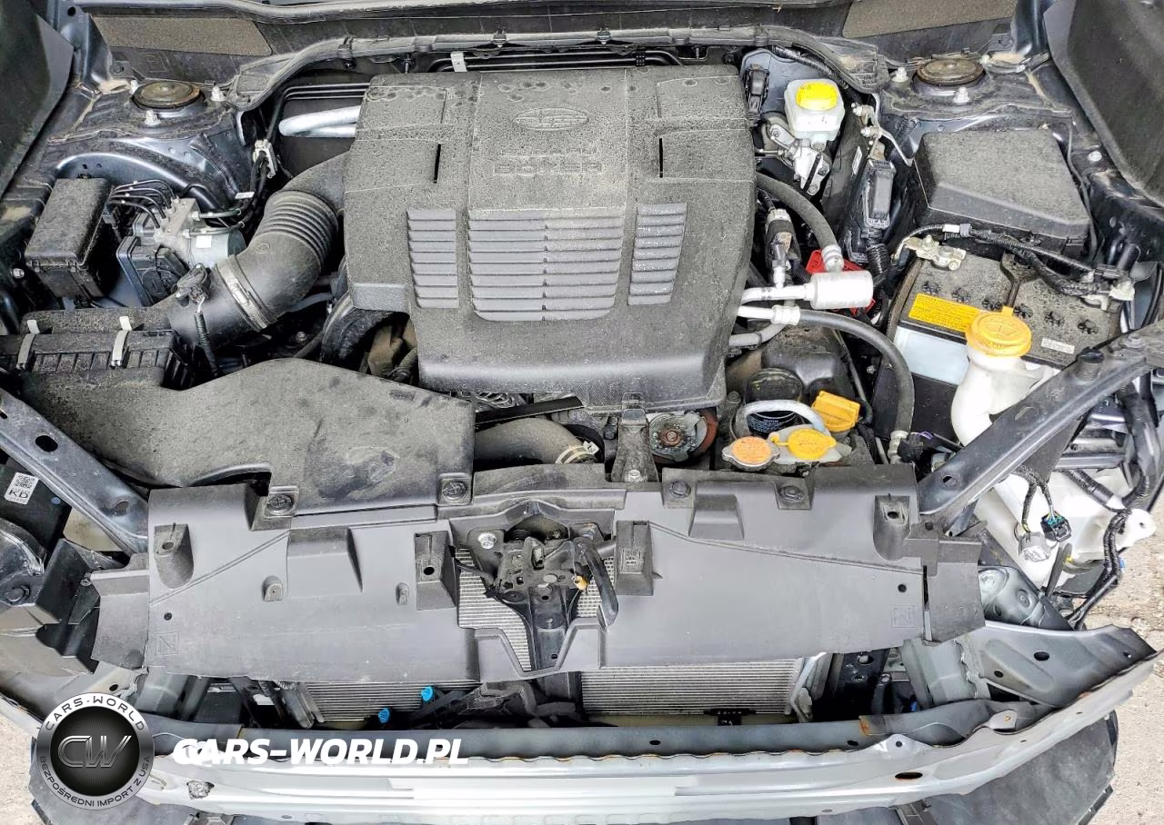 2023 Subaru Forester Premium VIN:JF2SKAEC3PH508102 - 12