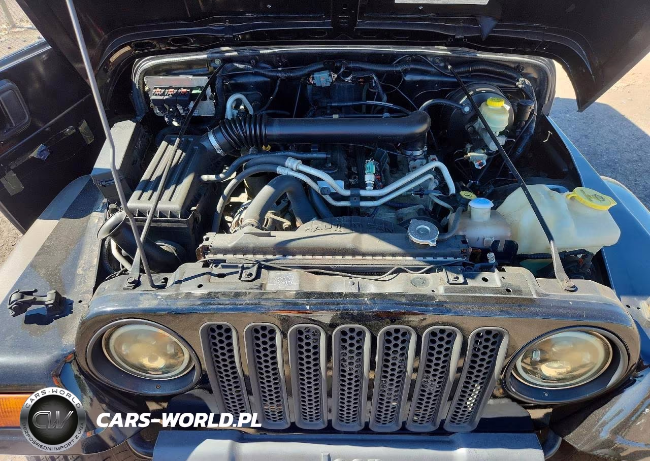 1998 Jeep Wrangler Sw VIN:1J4FY19S8WP798450 - 12