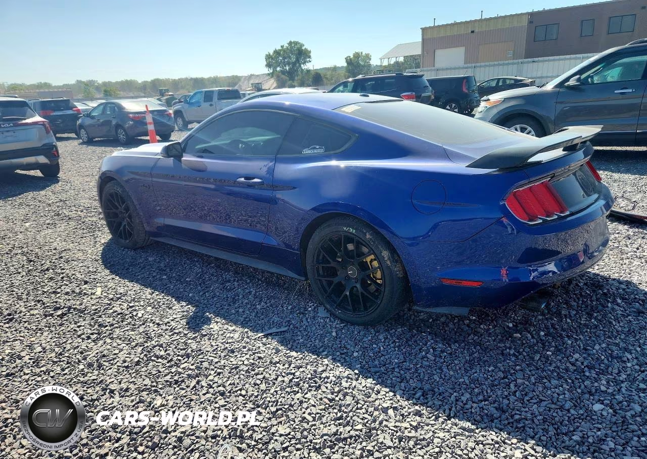 2015 Ford Mustang Gt VIN:1FA6P8CFXF5408303 - 2
