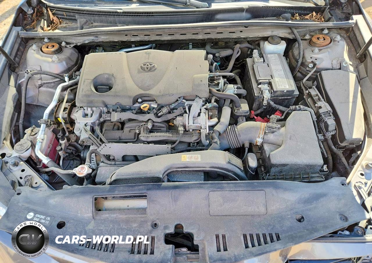 2019 Toyota Camry Le VIN:4T1B11HK1KU286174 - 11