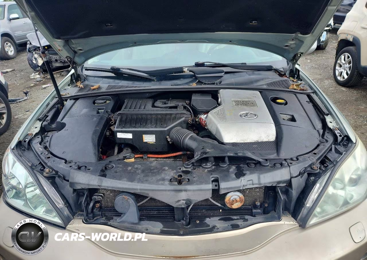 2006 Lexus Rx 400 VIN:JTJHW31U060029086 - 12