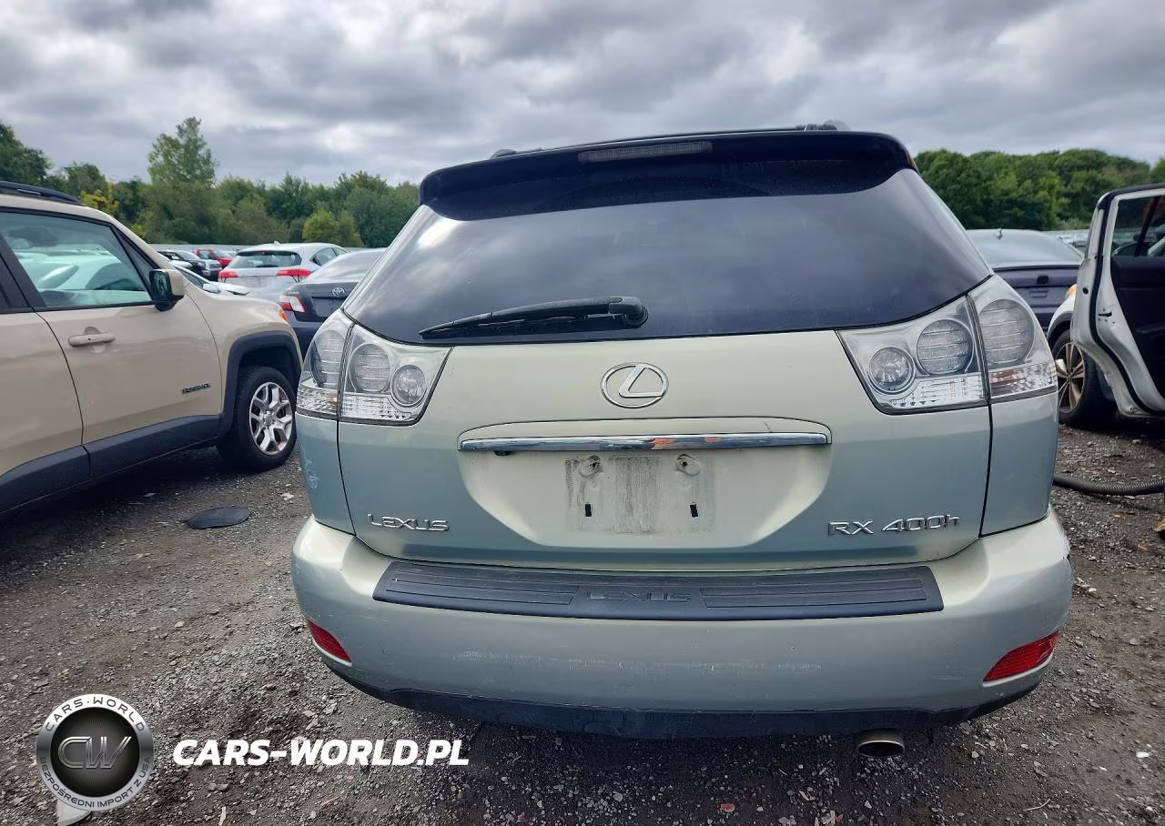 2006 Lexus Rx 400 VIN:JTJHW31U060029086 - 6