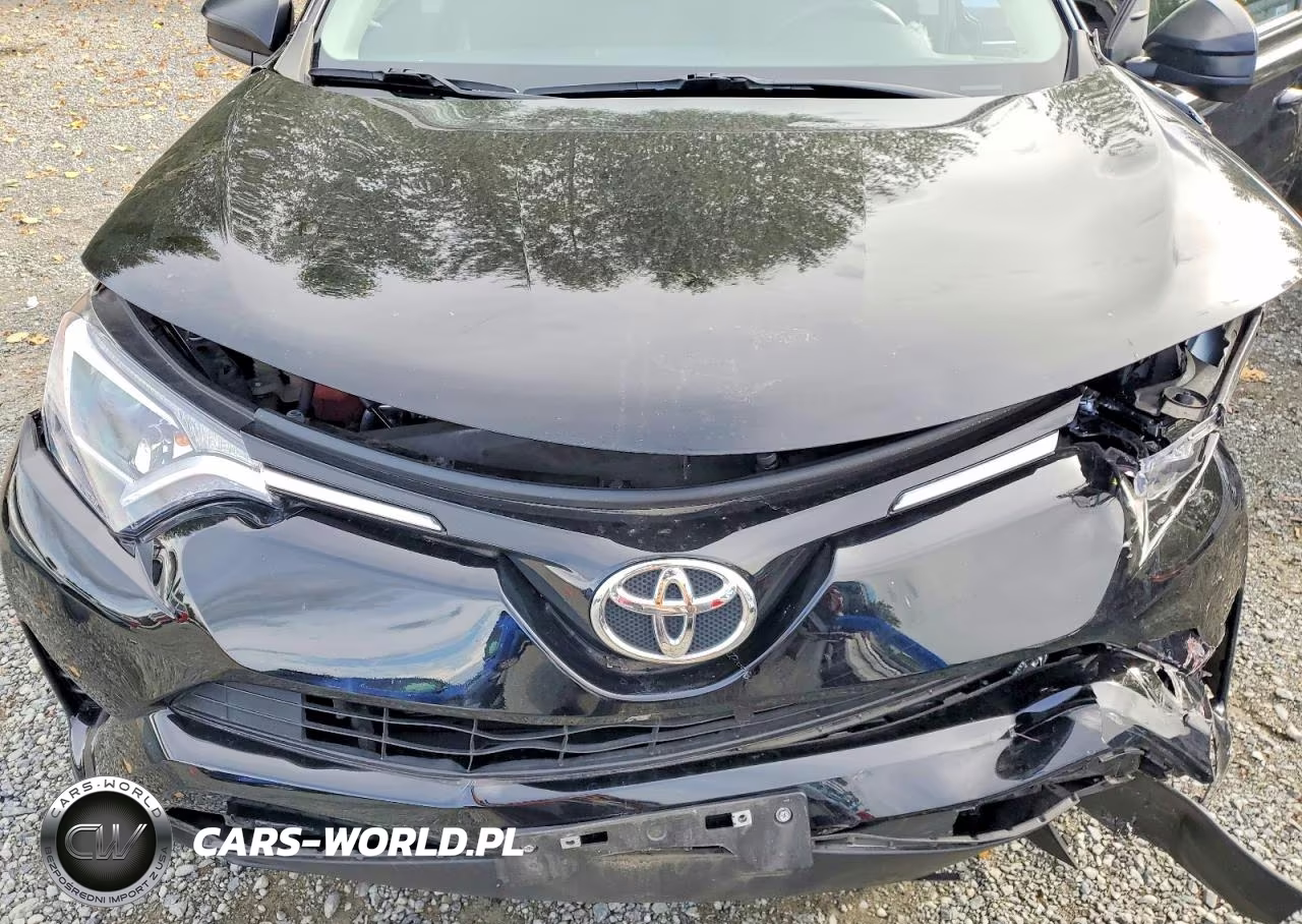 2016 Toyota Rav4 Le VIN:2T3BFREV8GW425889 - 12