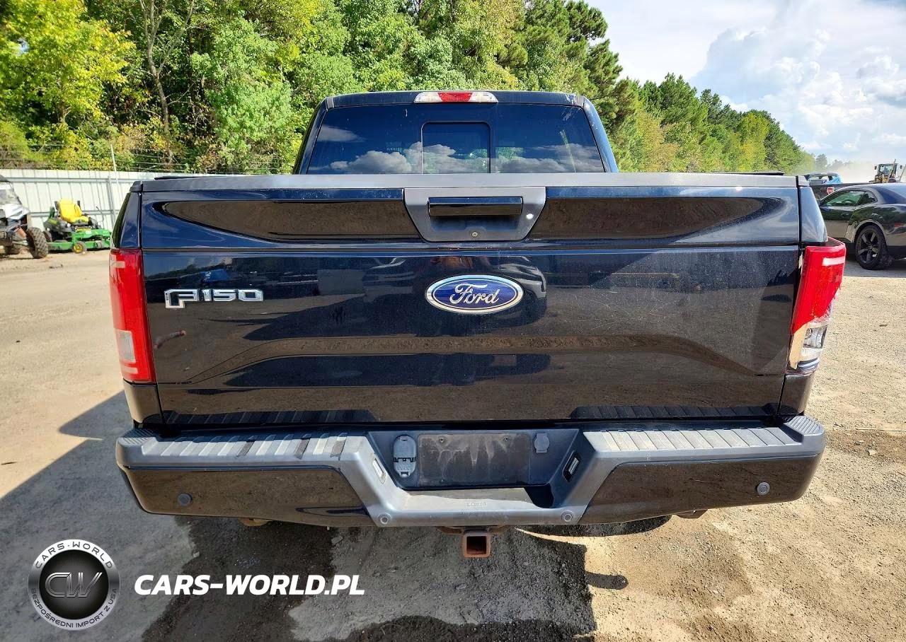 2017 Ford F150 Supercrew VIN:1FTEW1EG9HFA41171 - 6