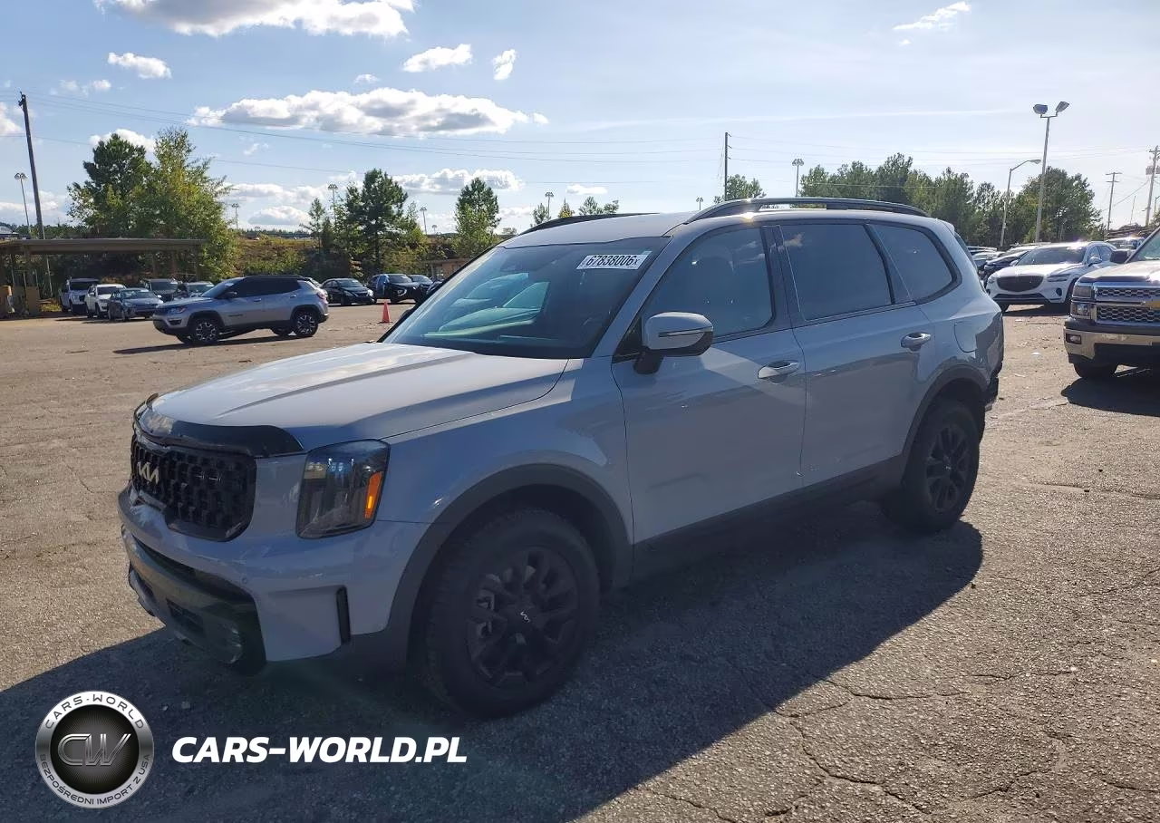 2024 Kia Telluride Sx X-Pro VIN:5XYP5DGC1RG484730 - 1