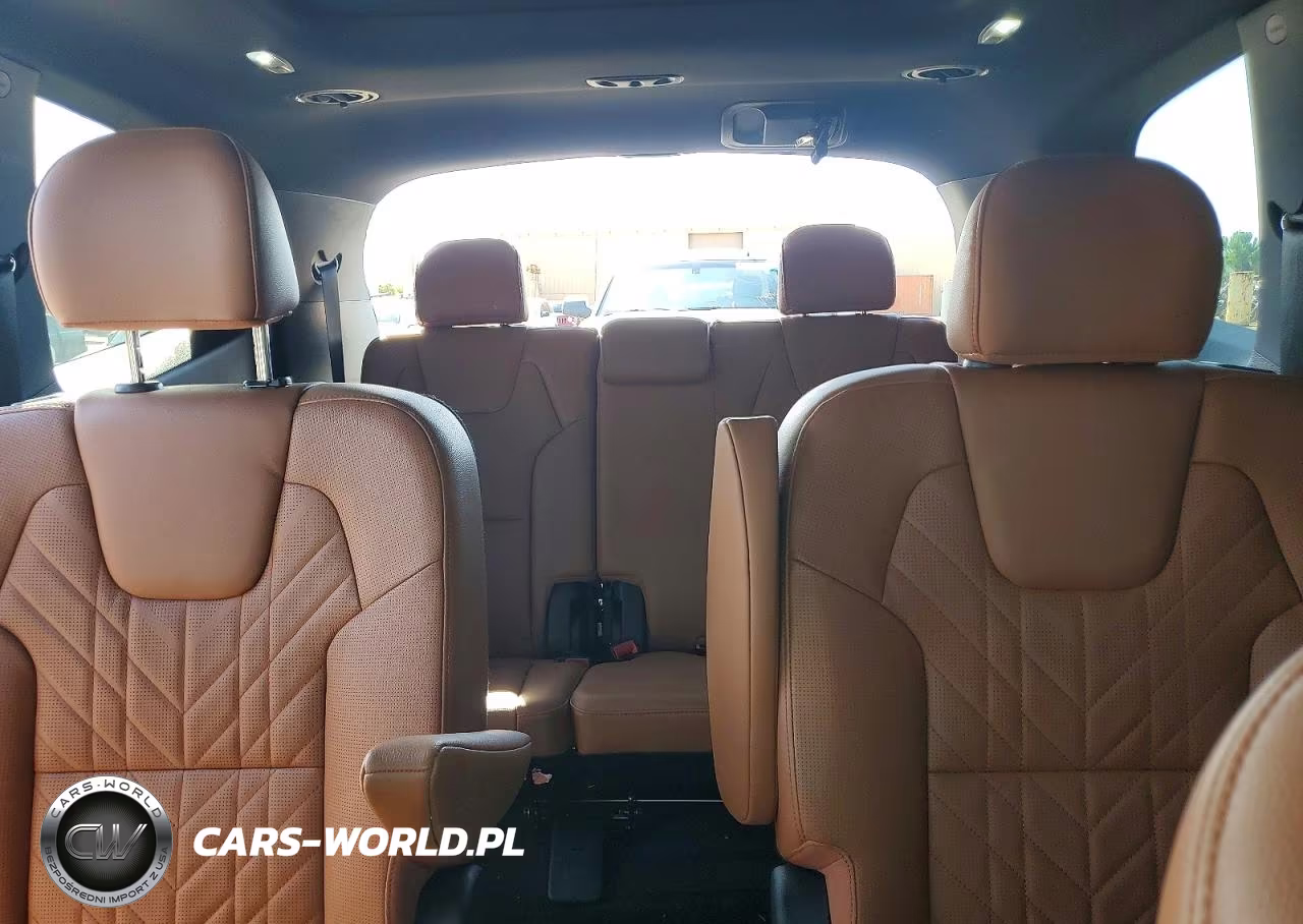 2024 Kia Telluride Sx X-Pro VIN:5XYP5DGC1RG484730 - 10
