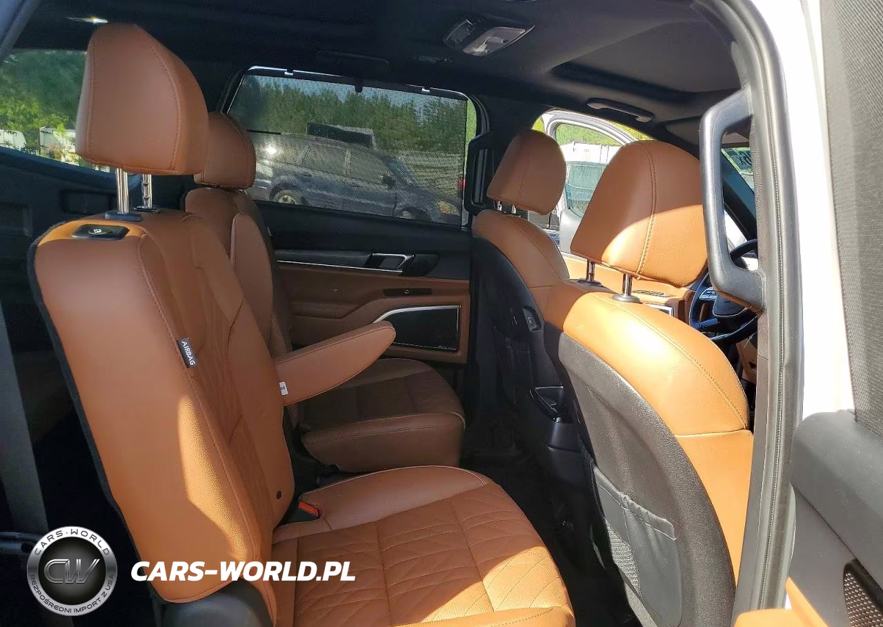2024 Kia Telluride Sx X-Pro VIN:5XYP5DGC1RG484730 - 11
