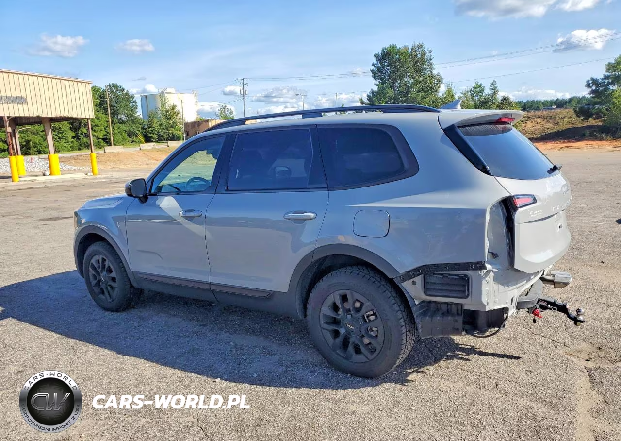 2024 Kia Telluride Sx X-Pro VIN:5XYP5DGC1RG484730 - 2
