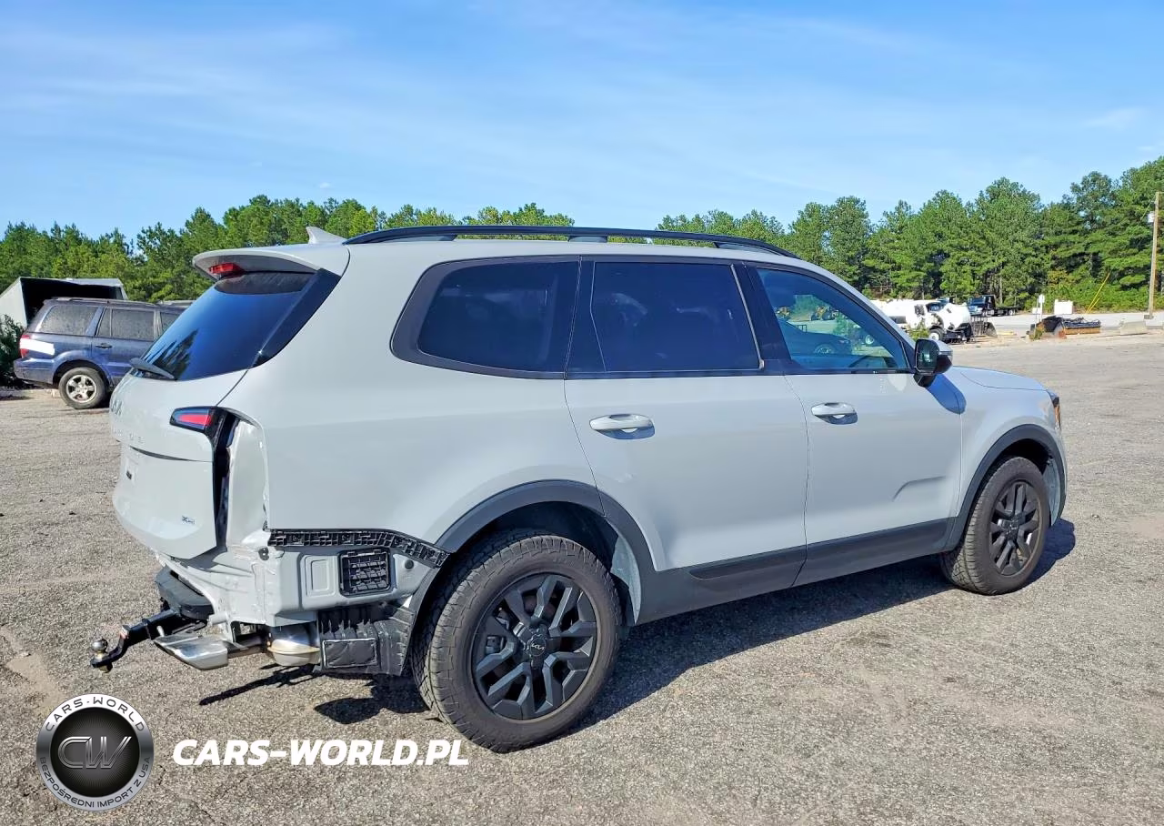 2024 Kia Telluride Sx X-Pro VIN:5XYP5DGC1RG484730 - 3